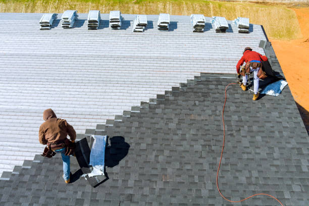 Best Storm Damage Roof Repair  in Carey, ID