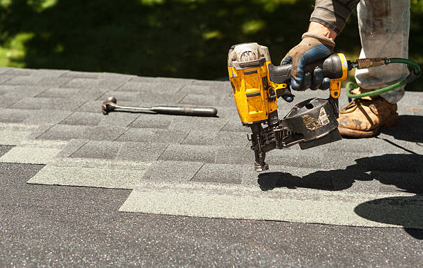 Best Roof Gutter Cleaning  in Carey, ID