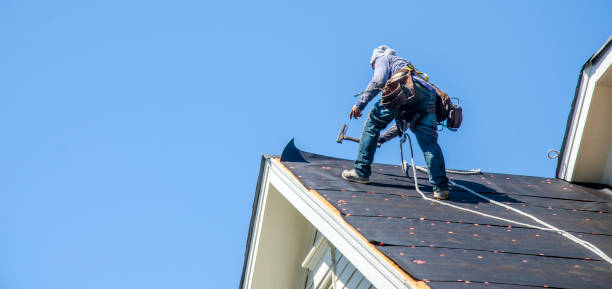 Roof Waterproofing Services in Carey, ID